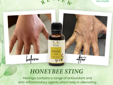 Moringa seeds cold pressed oil - Image 7
